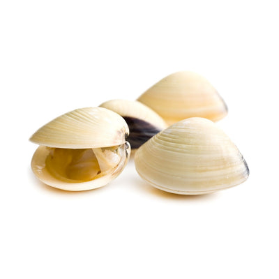 Twinfish Boiled Whole White Clam 1kg - Frozen
