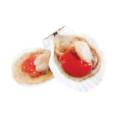 Shioku Large Half Shell Scallop 1kg - Frozen