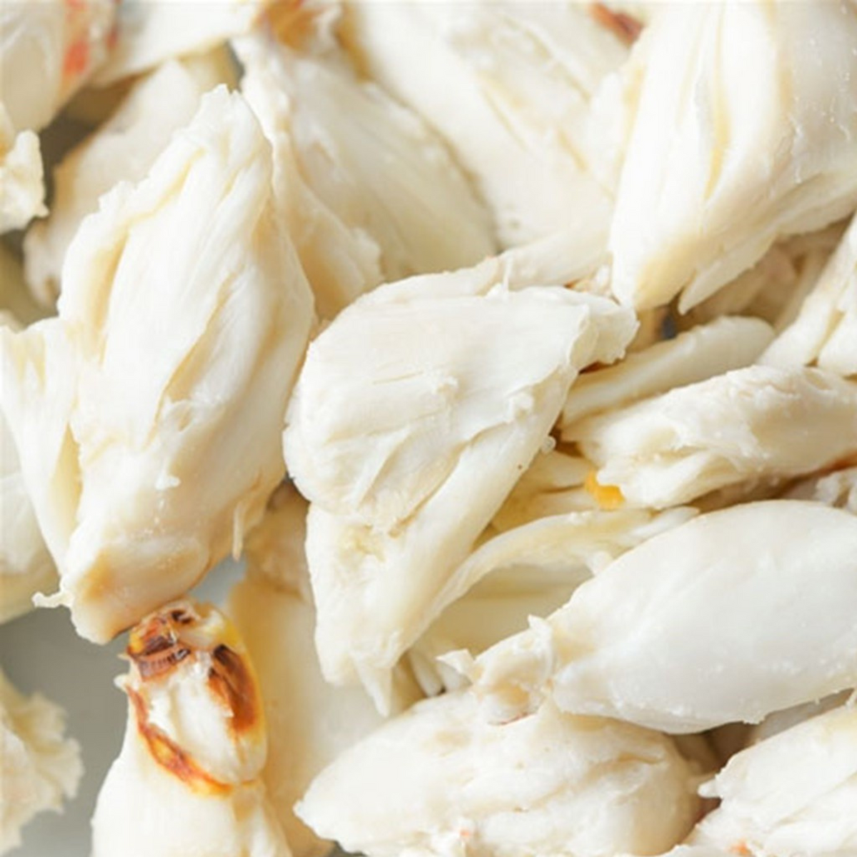 Eastern Harbor Crab Meat Jumbo Lump 454g Frozen PickMe