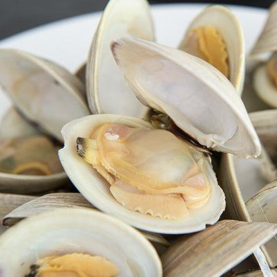 Twinfish Boiled Whole White Clam 1kg - Frozen