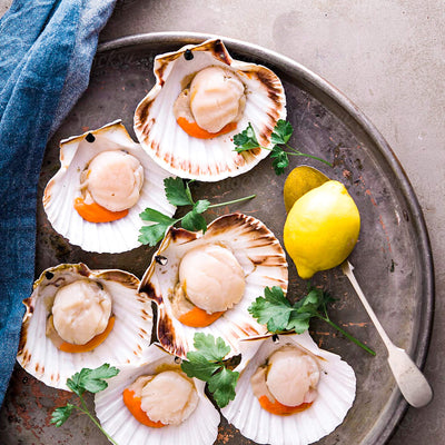 Shioku Large Half Shell Scallop 1kg - Frozen