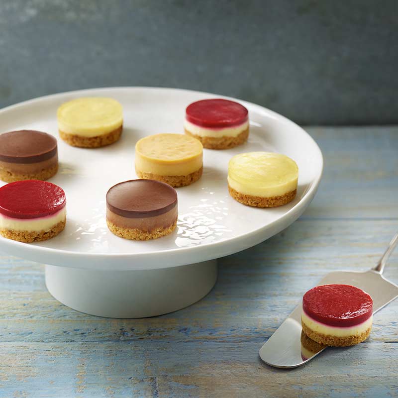 Premium Mini Cheesecake Assortment 21G X 48PCS (4 Flavors) - Frozen