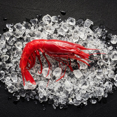 Frip Carabineros Mozambique Red Prawn 30/40 400g - Frozen
