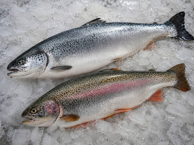 Trout vs Salmon: Taste, Nutrition, Price and Which Is Better?