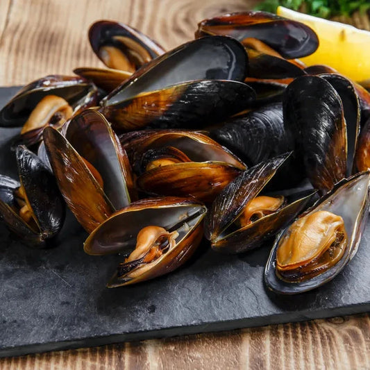 Pier 33 Whole Shell Black Mussel 454G - Frozen