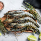 Twinfish Large Black Tiger Prawn 1KG - Frozen