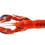 Mermaid Premium Cooked Whole Boston Lobster 350G - Frozen