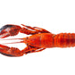 Mermaid Premium Cooked Whole Boston Lobster 350G - Frozen