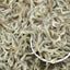 Okeanoss Baby River Shrimp 250g - Frozen