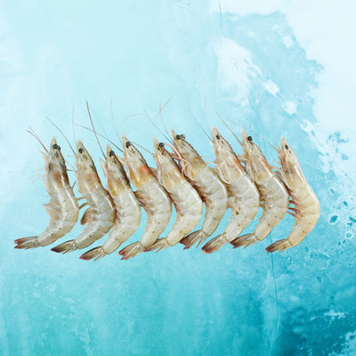 Okeanoss Baby River Shrimp 250g - Frozen