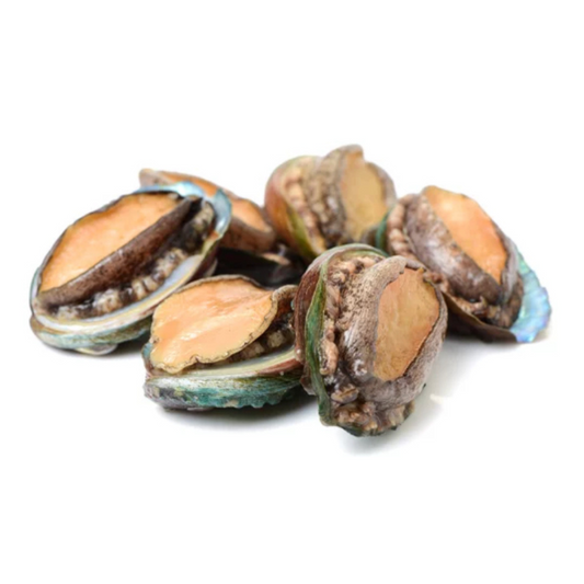 Fisher's Catch Abalone in Shell 1kg - Frozen