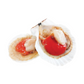 Shioku Large Half Shell Scallop 1KG - Frozen